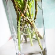 Engraved Glass Vase Birthday Gift