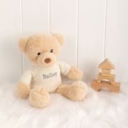 Teddy Bear with Embroidered Jumper