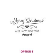 Corporate Christmas 425ml Engraved Schooner Beer Glass