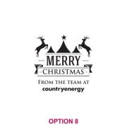 Corporate Christmas 425ml Engraved Schooner Beer Glass