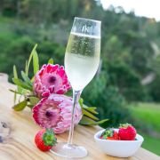 Engraved Classic Contour 200ml Champagne Glass