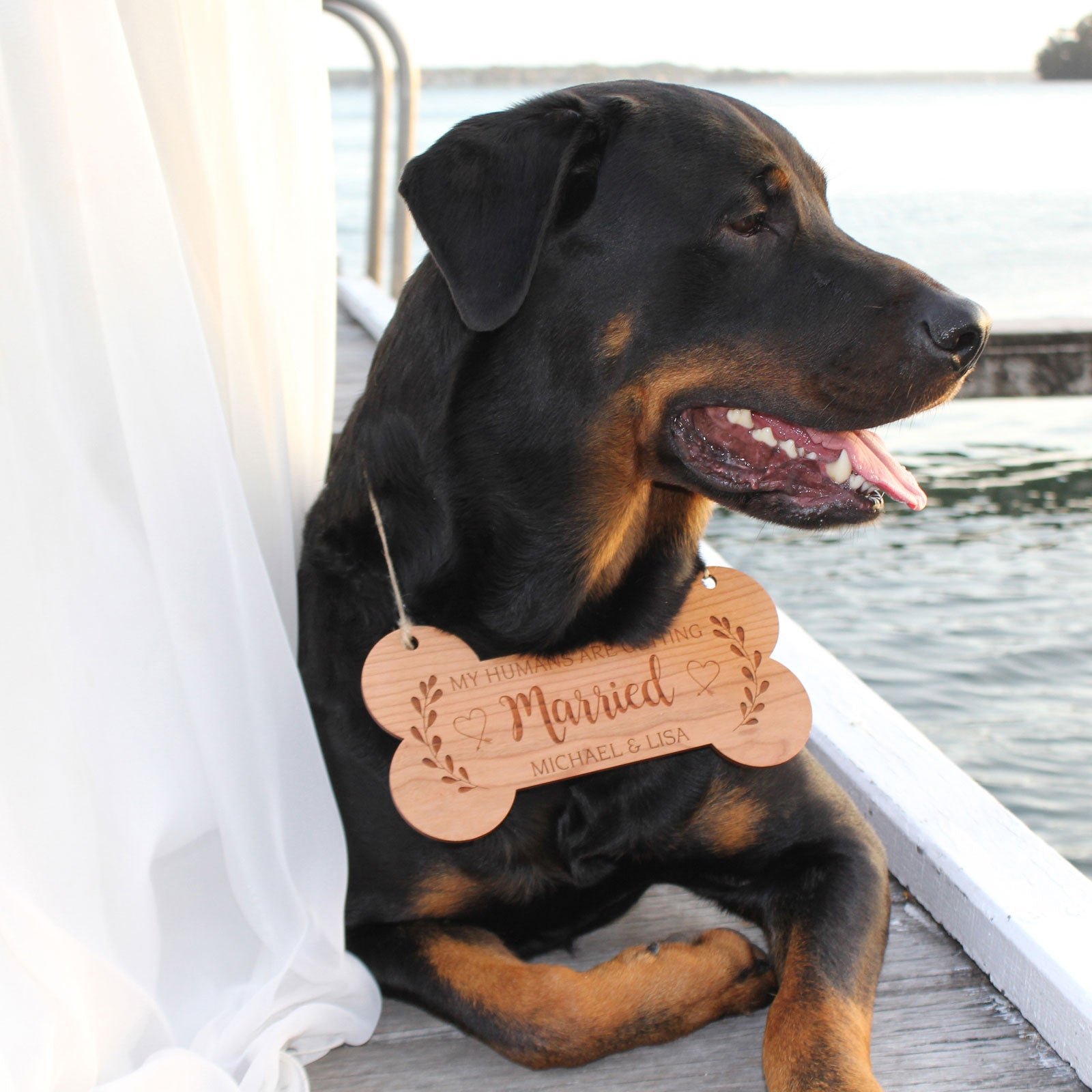 Engraved Wooden Wedding Dog Pet Sign
