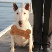 Engraved Wooden Wedding Dog Pet Sign