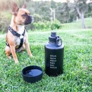Engraved Matte Black Stainless Steel 2L Water Bottle with Pet Drinking Bowl